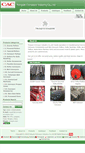 Mobile Screenshot of conveyor-accessory.com